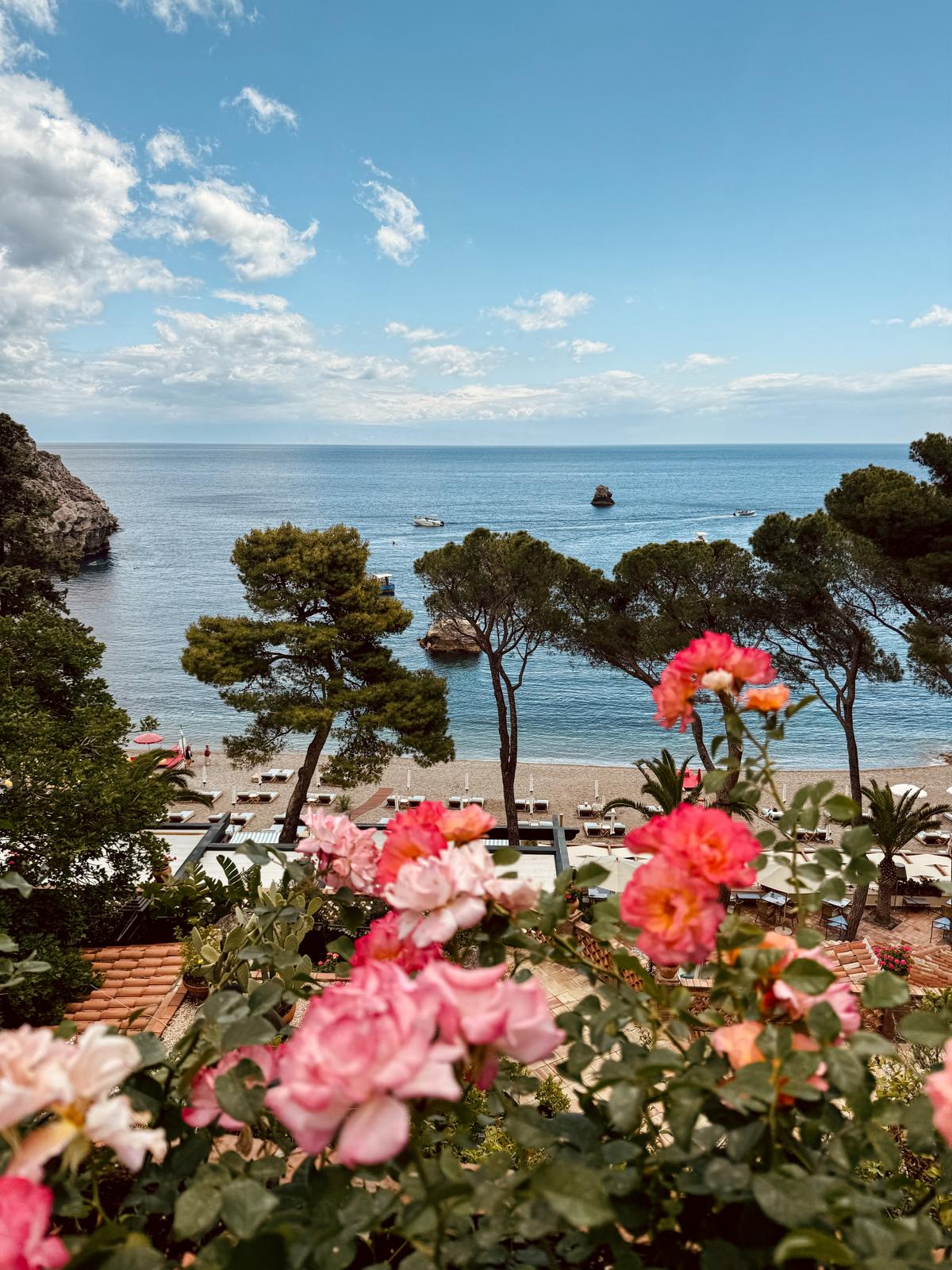 Pink roses in the foreground of a pine-fringed coastal bay