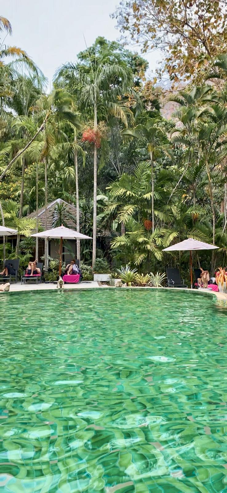 A clear green resort pool framed by palms and parasols